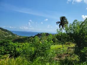 A view of the ocean from a hill side.